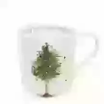 China Mug